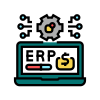 Custom ERP System Integration